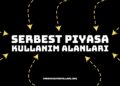 Serbest Piyasa Kullanım Alanları